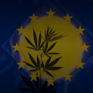 European Cannabis Market Research